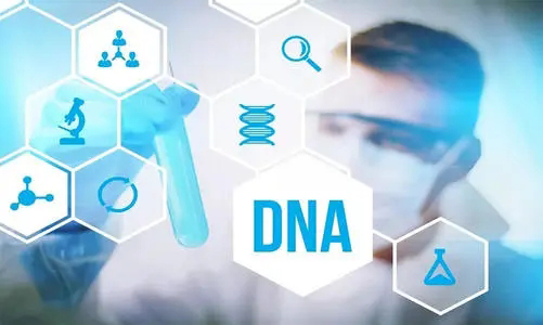 成都DNA鉴定在哪,成都亲子鉴定收费标准
