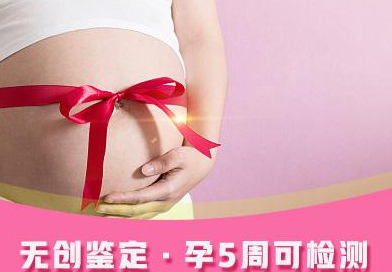 成都怀孕了需要怎么办理血缘检测,成都孕期亲子鉴定流程