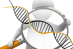 成都妇保院能办理DNA亲子鉴定吗，成都人民医院办理DNA鉴定需要什么材料和流程